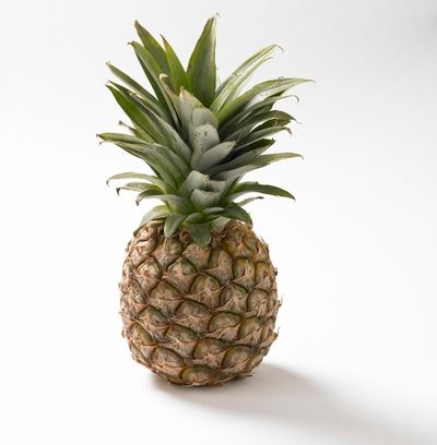 Answer #1 Image preview