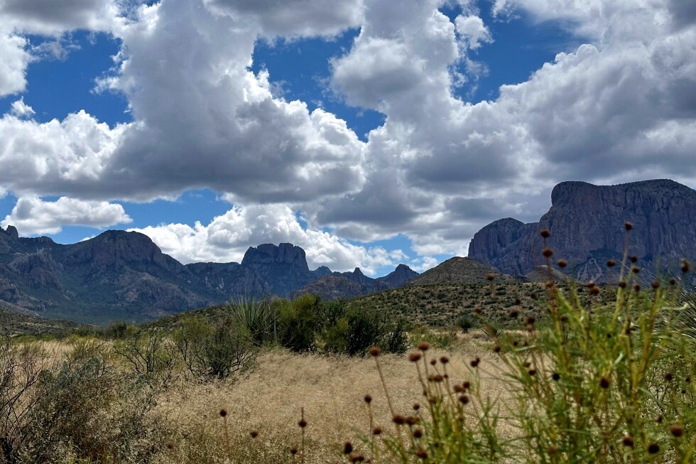 Trump administration considers scaling back border project in Texas' Big Bend National Park preview image