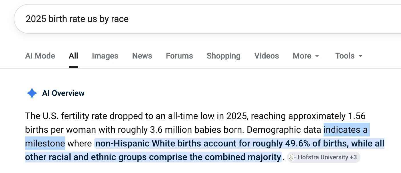 Google says whites losing majority in US is a "milestone" preview image