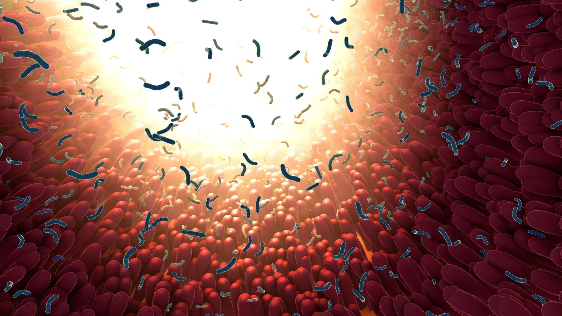 Your gut microbiome might be more contagious than anyone realized preview image
