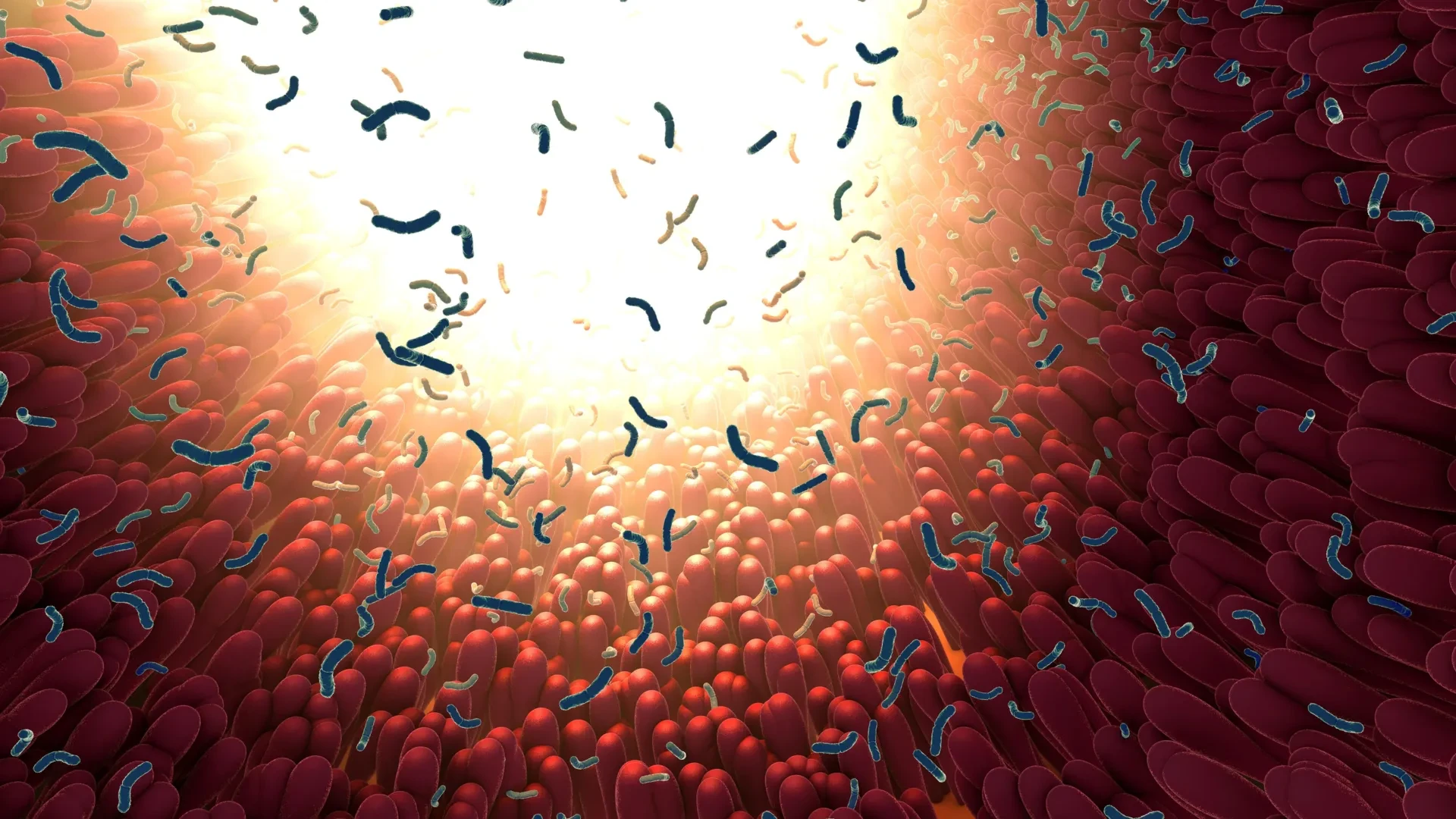 Your gut microbiome may be more contagious than scientists thought preview image