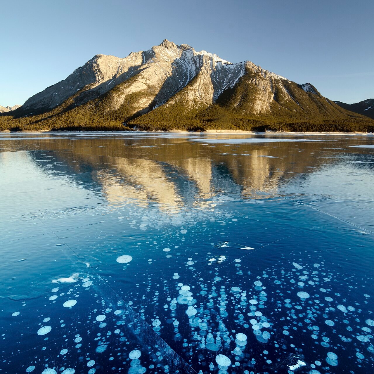 Bubbles frozen beneath Abraham Lake in Alberta preview image