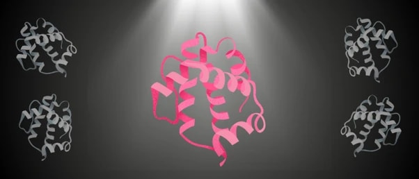 Researchers investigating 160 million year old proteins that kill drug resistant bacteria preview image