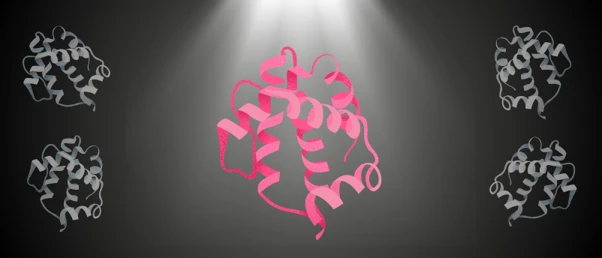 160-million-year-old proteins could inspire future antimicrobials preview image