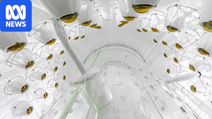 'This could be it': Dark matter detector finds hint of unknown particle preview image