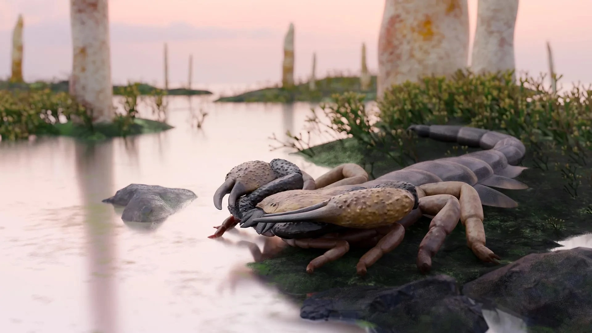 Largest known scorpion was a meter long and lived before forests existed preview image