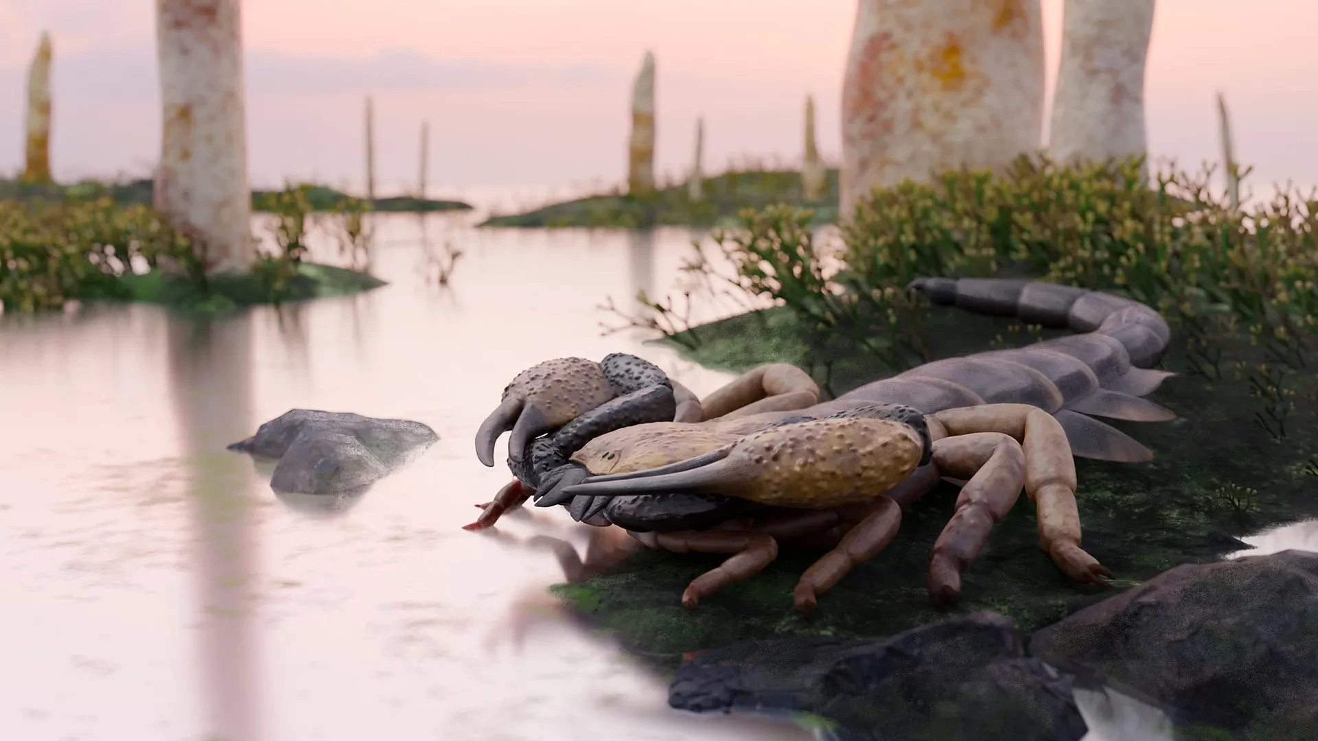 A coffee-table-size scorpion roamed Earth before forests existed preview image