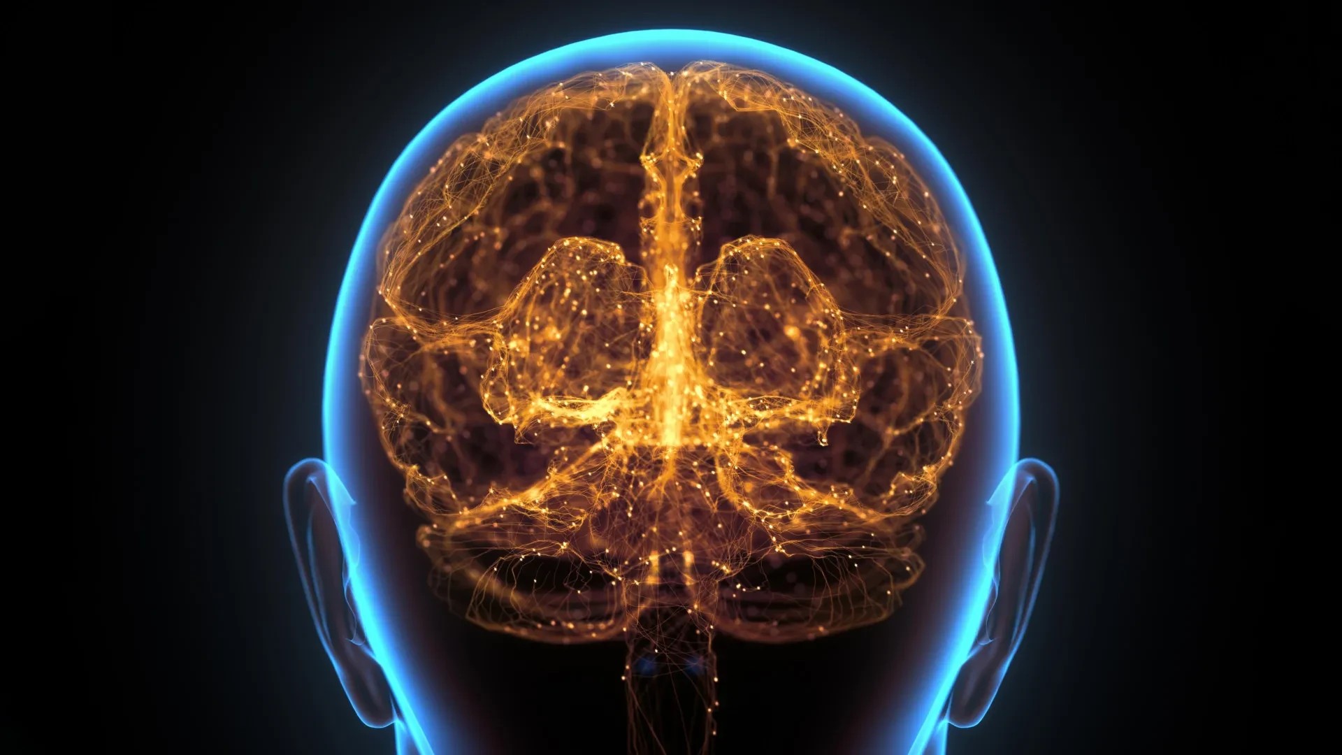 Lymph node like structures in mouse skulls acted as early responders against brain tumors preview image