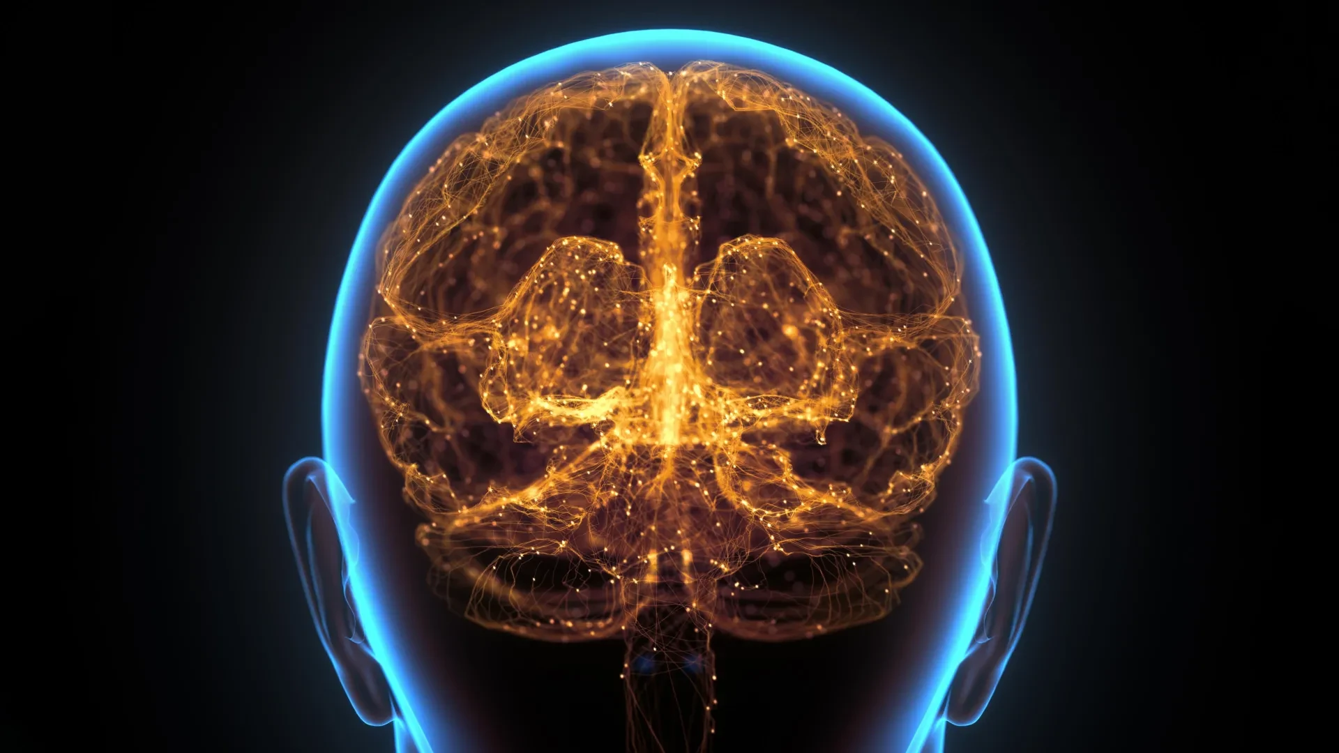 Hidden "immune organ" in the skull may help fight brain cancer preview image
