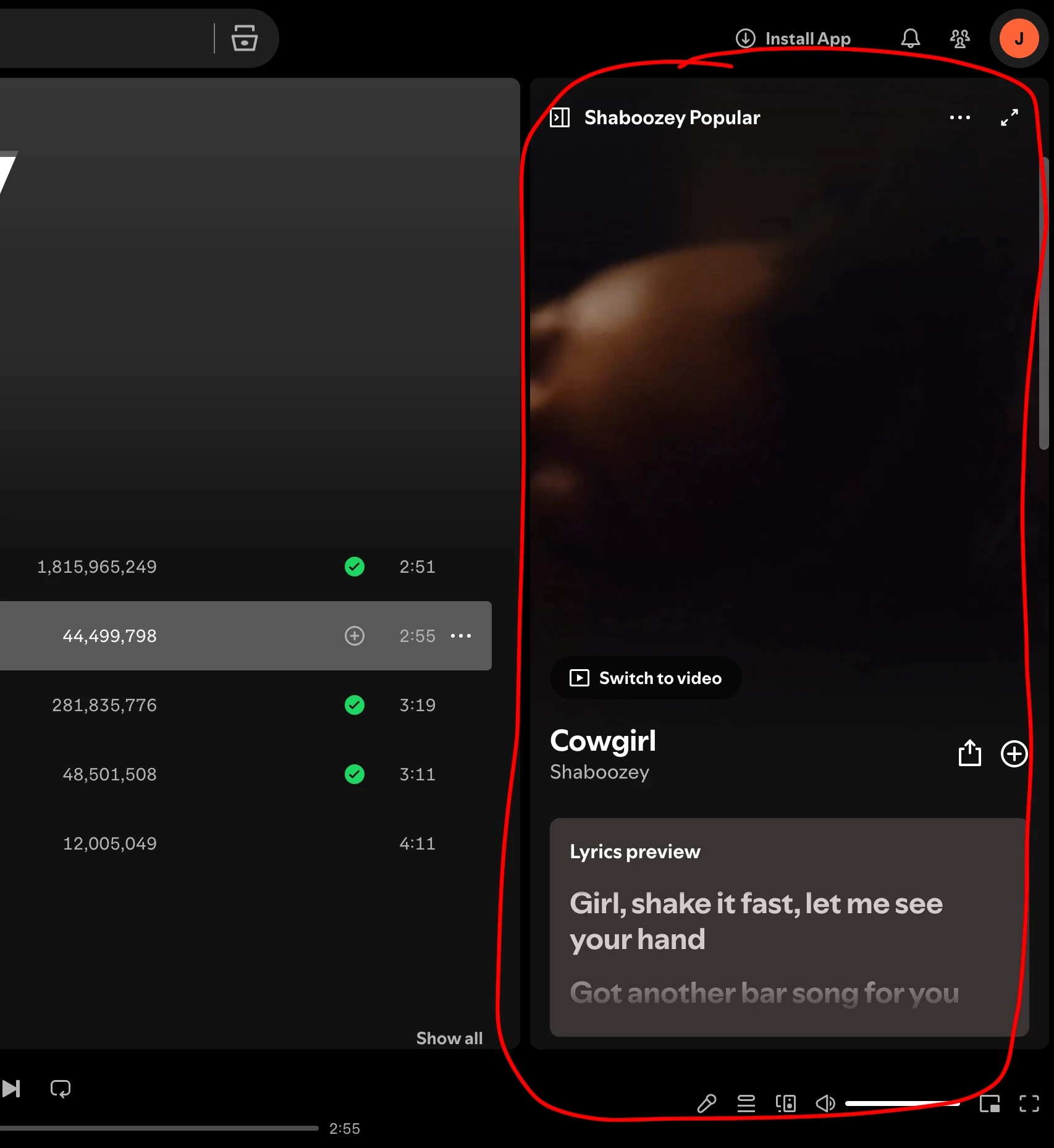 How to stop "Now Playing" video from showing in spotify? preview image