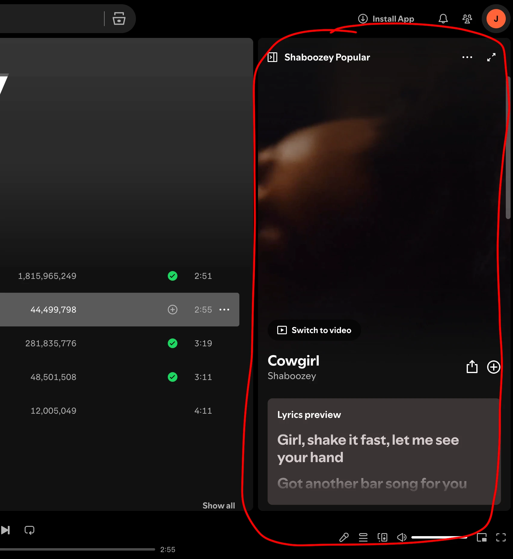 AskMakeNoLaw - How to stop "Now Playing" video from showing in spotify?