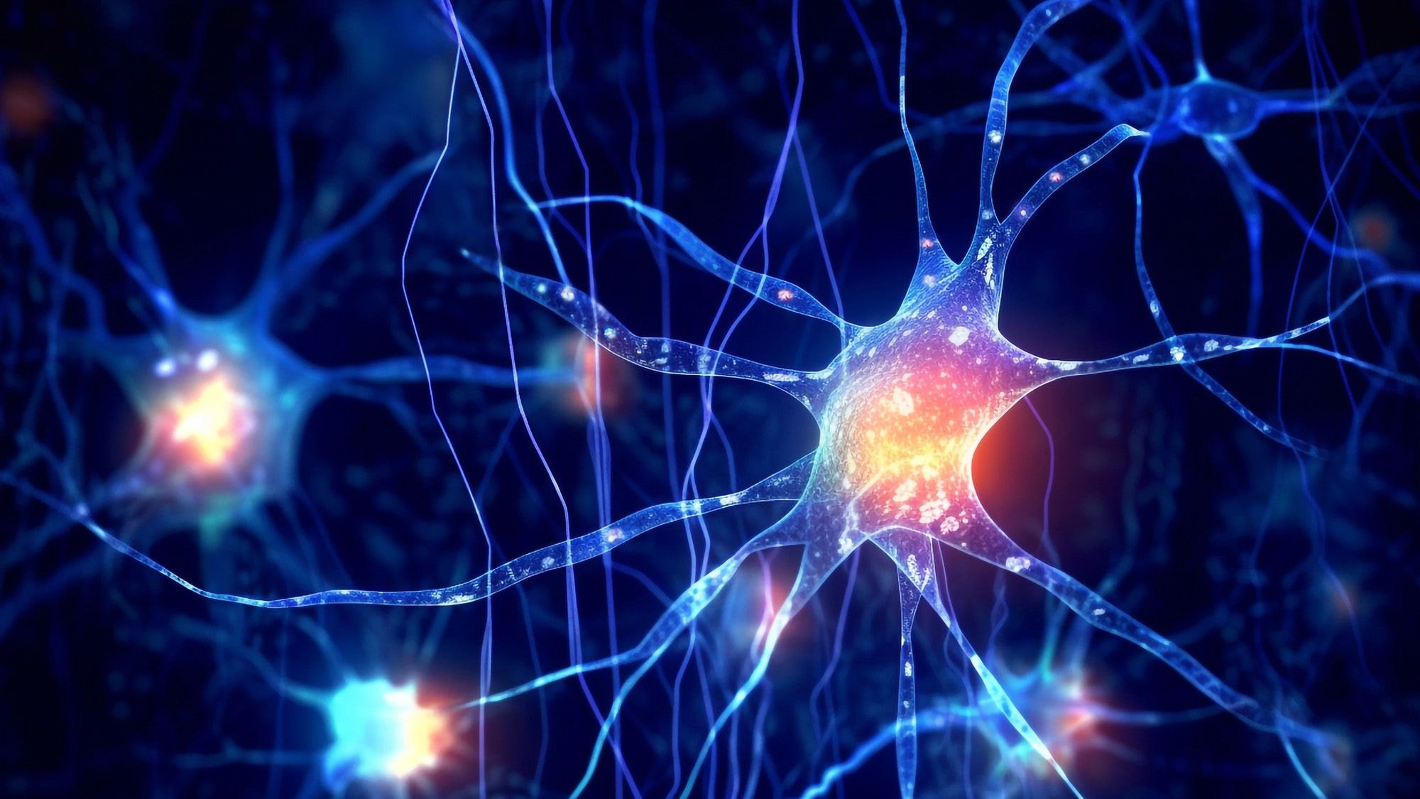 Gel turned human brain support cells into working neurons and improved memory in Alzheimer's mice preview image