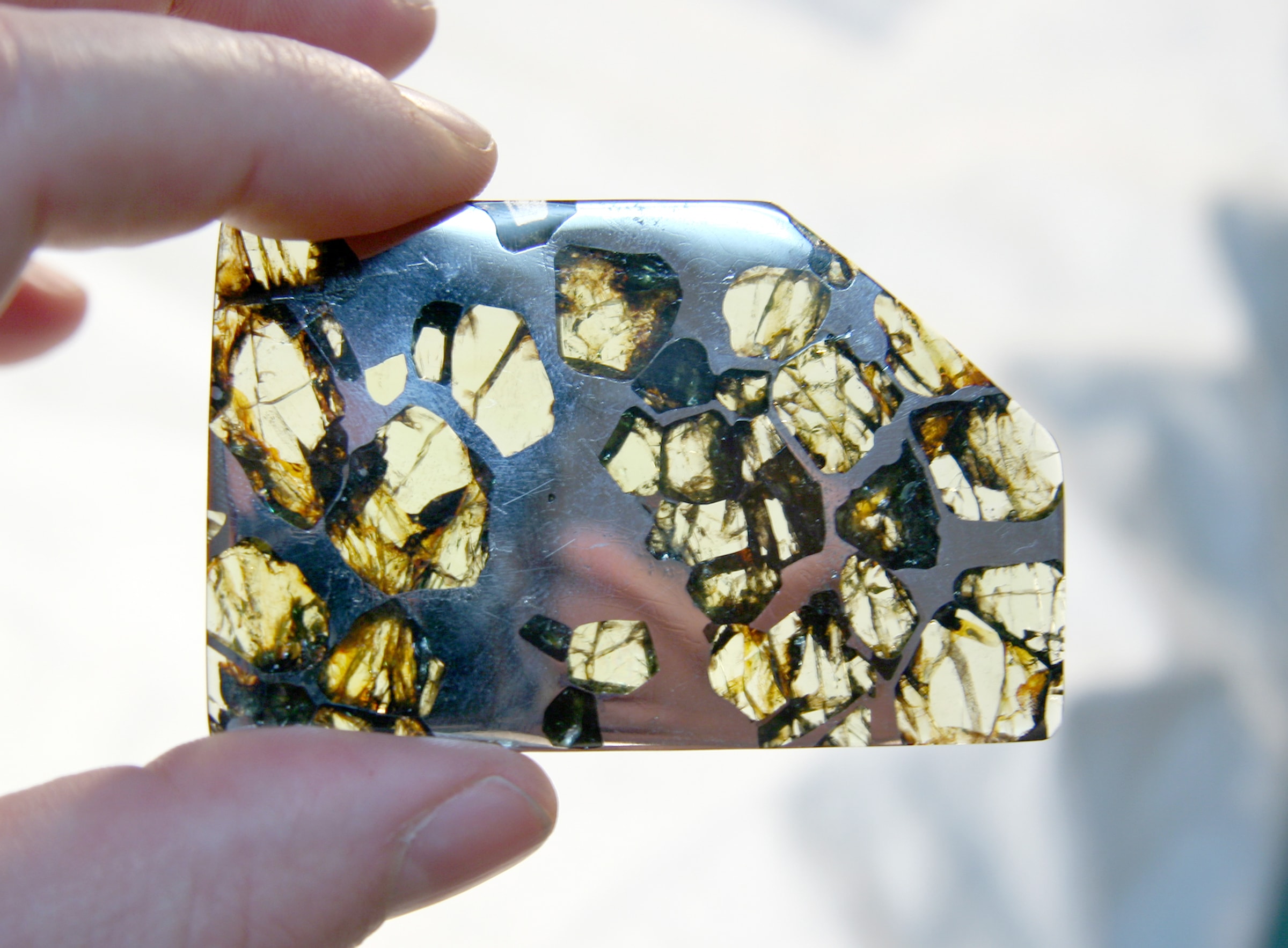 A polished slice of the Esquel meteorite with olivine crystals, found in 1951 preview image